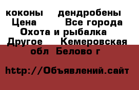 коконы    дендробены › Цена ­ 25 - Все города Охота и рыбалка » Другое   . Кемеровская обл.,Белово г.